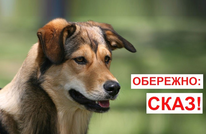 Обережно, сказ !