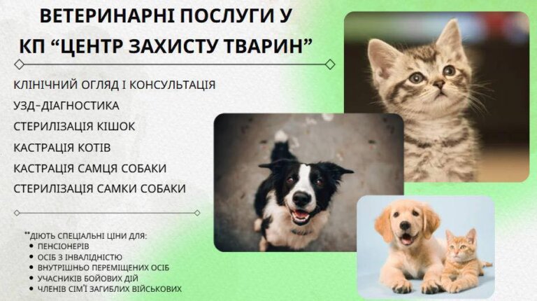 КП «Центр захисту тварин» надає якісні ветеринарні послуги за доступними цінами