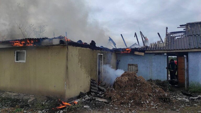 Під час пожежі у приватній стайні на Житомирщині врятували 30 кроликів