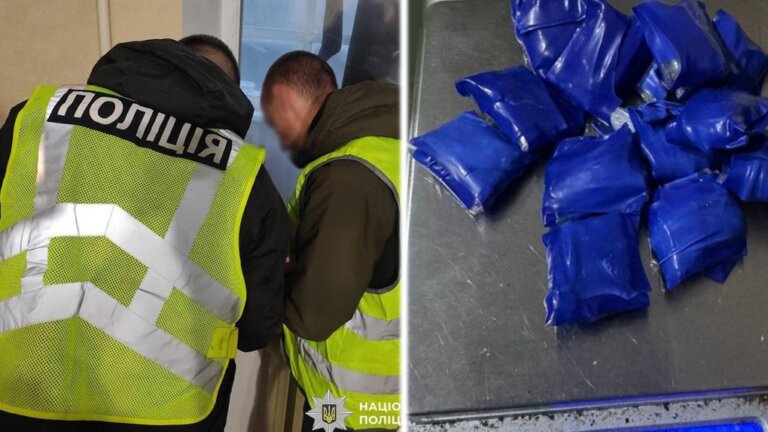 У Житомирі в пакуванні з котячим кормом біля паркомату виявили кокаїн — підозрюють місцевого жителя