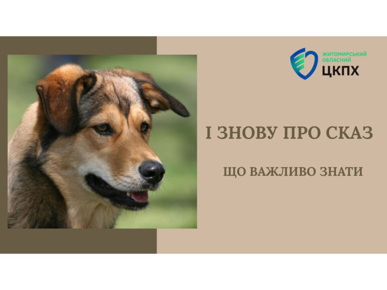 І знову про сказ: що важливо знати