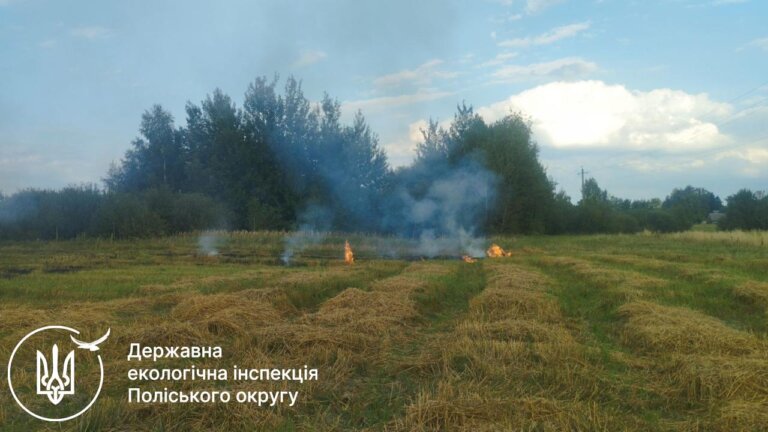 Спалювання сухої рослинності — небезпечна звичка, що шкодить природі: два факти підпалів виявили екоінспектори Поліського округу