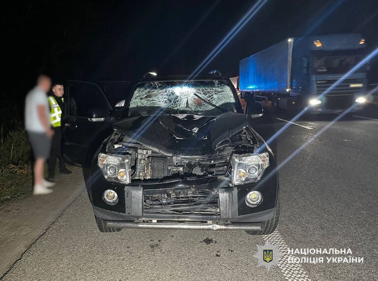 Поліцейські розслідують загибель пішохода в ДТП у Житомирському районі