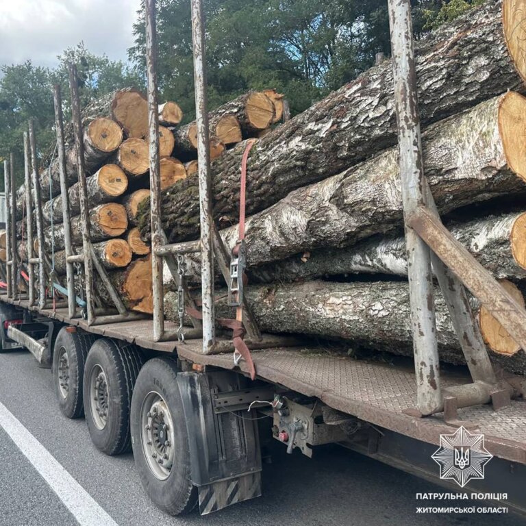 Деревина без документів: патрульні зупинили п’ять вантажівок за добу