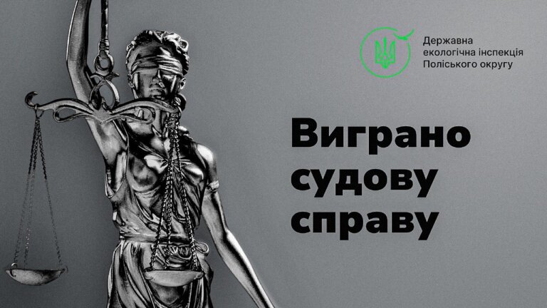 Суд зобов’язав ТОВ «Галактік» відшкодувати державі майже 15,7 млн грн за незаконний видобуток лабрадориту