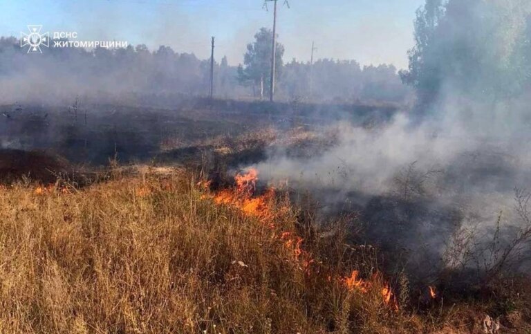 Рятувальники зупинили пожежу поблизу житлових будинків