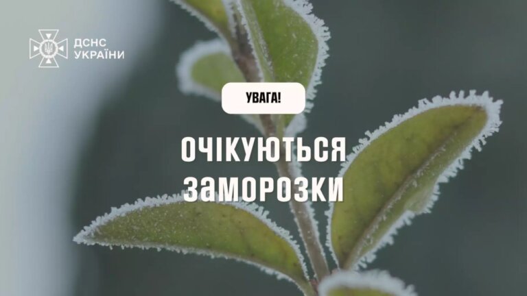 В Україні очікуються заморозки!
