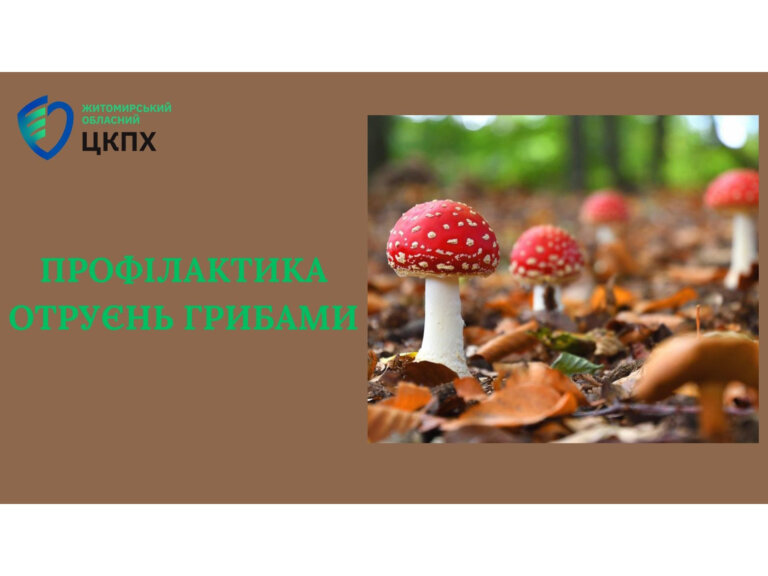 Профілактика отруєнь грибами