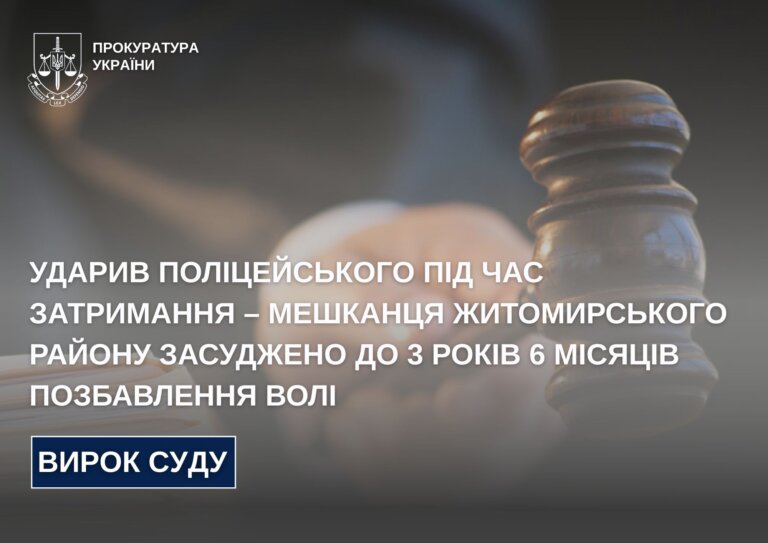 Ударив поліцейського під час затримання – мешканця Житомирського району засуджено до 3 років 6 місяців позбавлення волі