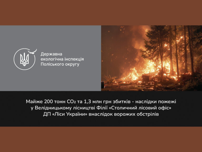 Майже 1,3 млн грн збитків завдано довкіллю внаслідок пожежі у Велідницькому лісництві на Коростенщині, яку спричинили ворожі обстріли