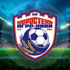 Суботній футбол у Коростені: «Агро-Нива» проти суперника з Нової Борової