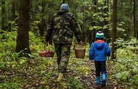 Поліцейські Житомирщини застерігають: у лісах дедалі частіше губляться люди