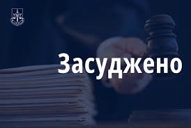 Жителя Житомирщини засуджено до 8 років позбавлення волі за зґвалтування неповнолітньої