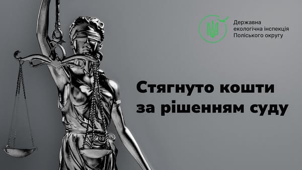 МКП «Бердичівкомунсервіс» після програних судів відшкодувало понад 343 тис. грн збитків за шкоду довкіллю