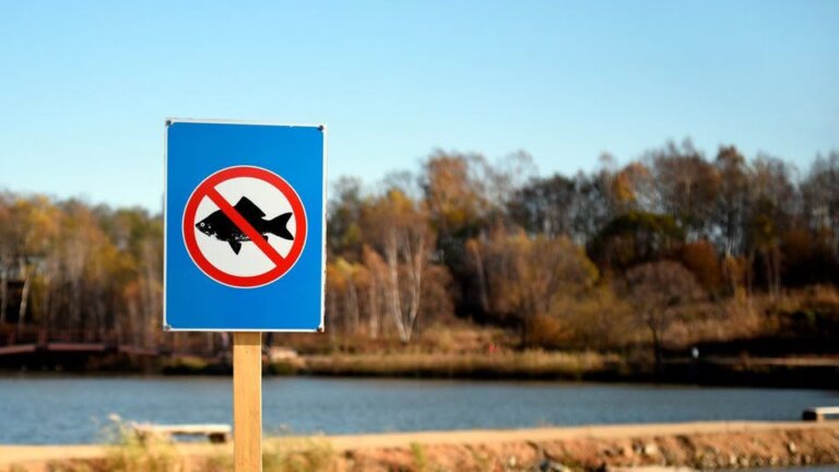 Затверджено перелік меж зимувальних ям у рибогосподарських водних об’єктах Житомирської та Рівненської областей