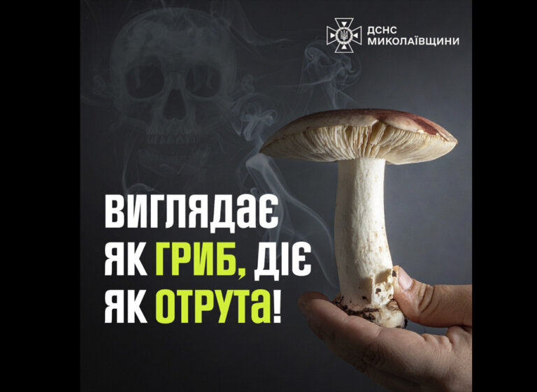 Хлопець 2011 року народження назбирав у лісосмузі дикорослих грибів, сам їх приготував і… отруївся!