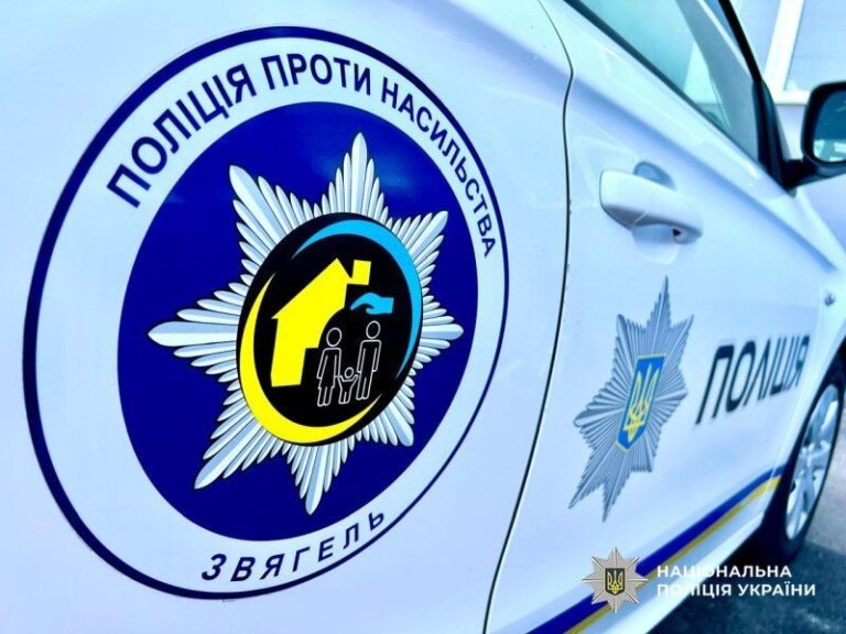 З початку року поліцейські Звягельщини припинили понад 800 випадків домашнього насильства
