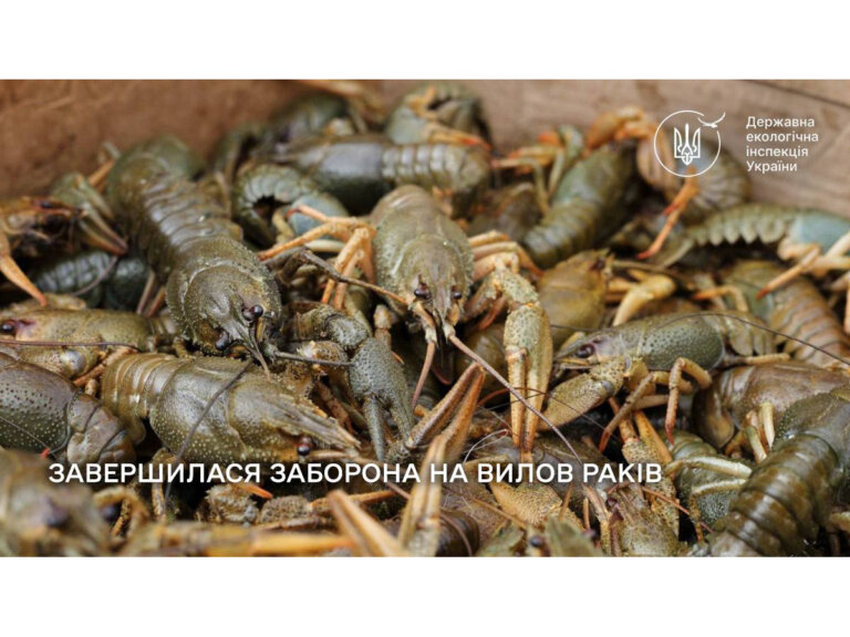З 01 жовтня завершилася заборона на вилов раків