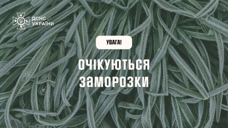 Увага: заморозки! У Житомирській області заморозки в повітрі 0-3° (II рівень небезпечності, помаранчевий)