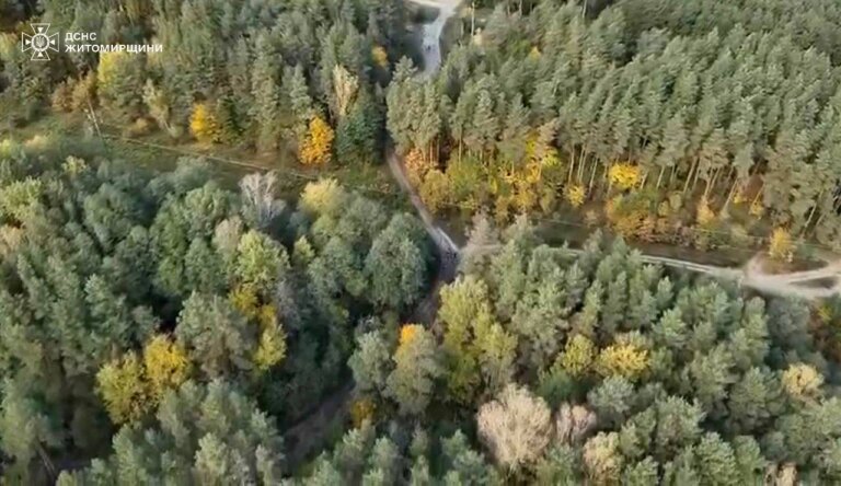 На Житомирщині знайшли зниклу в лісі жінку