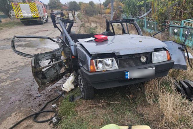 російський дрон на Запоріжжі вбив подружню пару!