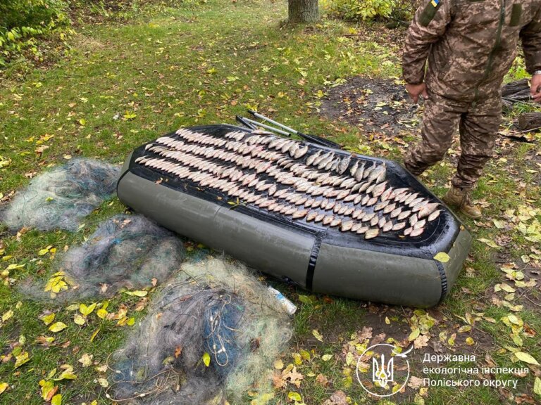 На Житомирщині екоінспектори викрили масштабний незаконний вилов риби: збитки рибному господарству становлять понад 380 тисяч гривень