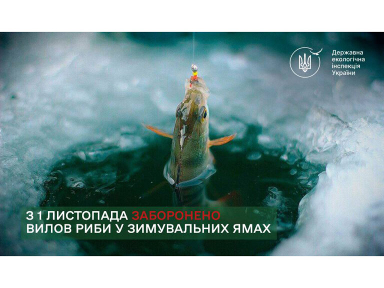 Осінньо-зимова заборона на вилов водних біоресурсів у зимувальних ямах