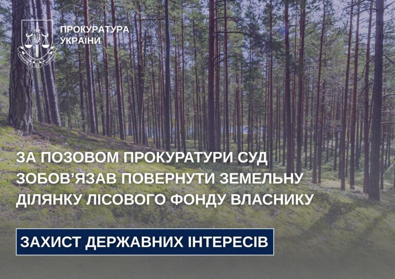 За позовом прокуратури суд зобов’язав повернути земельну ділянку лісового фонду власнику