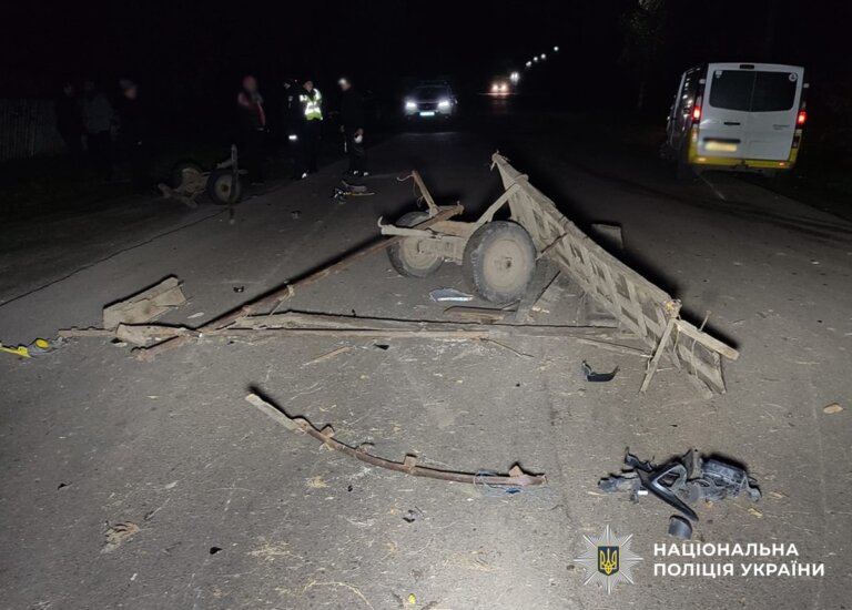 У ДТП в Житомирському районі травмовано водія гужового возу: поліцейські розпочали розслідування