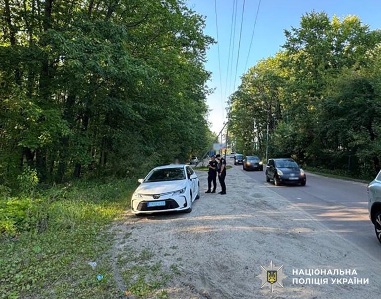 Планувала заробіток на поширенні психотропів у Житомирському районі: поліцейські завершили розслідування