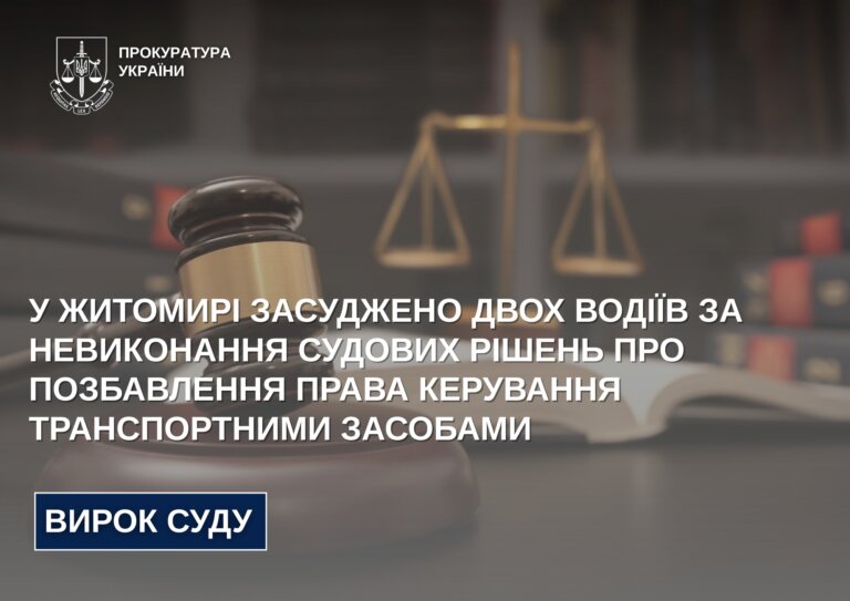 У Житомирі засуджено двох водіїв за невиконання судових рішень про позбавлення права керування транспортними засобами