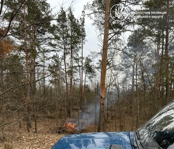 Порушника оштрафовано за розведення вогню поблизу лісу