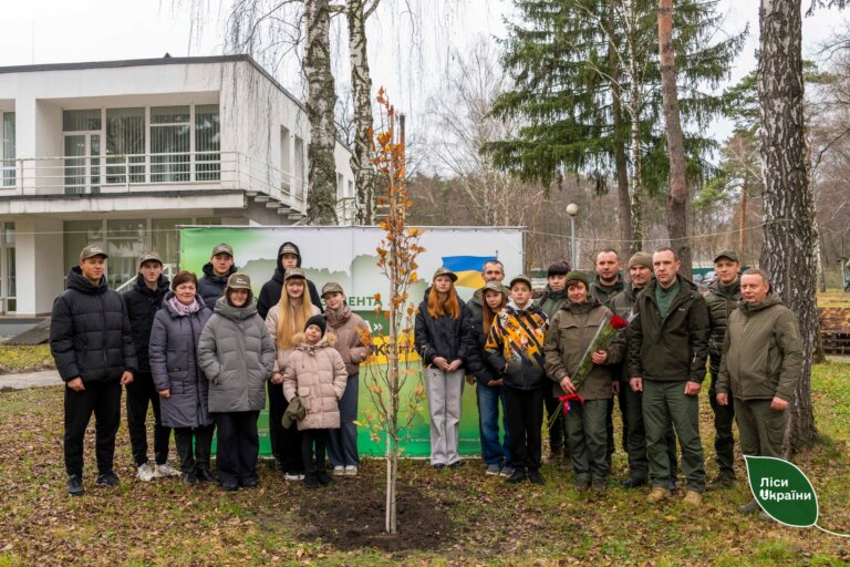Мільярдне дерево з’явилося на Житомирщині: символ відродження, сили та вдячності нашим воїнам