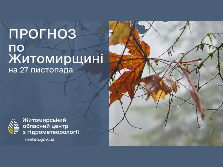 Прогноз погоди на день 27 листопада по Житомирській області