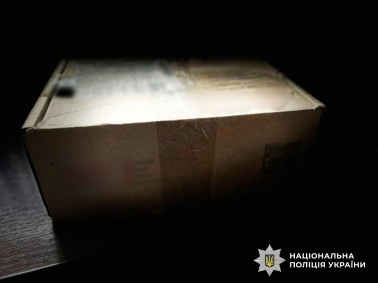 На Житомирщині поліція викрила підпільного «постачальника» нелегального бурштину та наркотиків