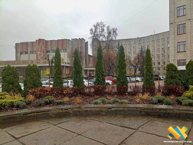 Платани, туї, шаровидні клени, сакури, липи та горобини: у Житомирі триває осіння висадка дерев