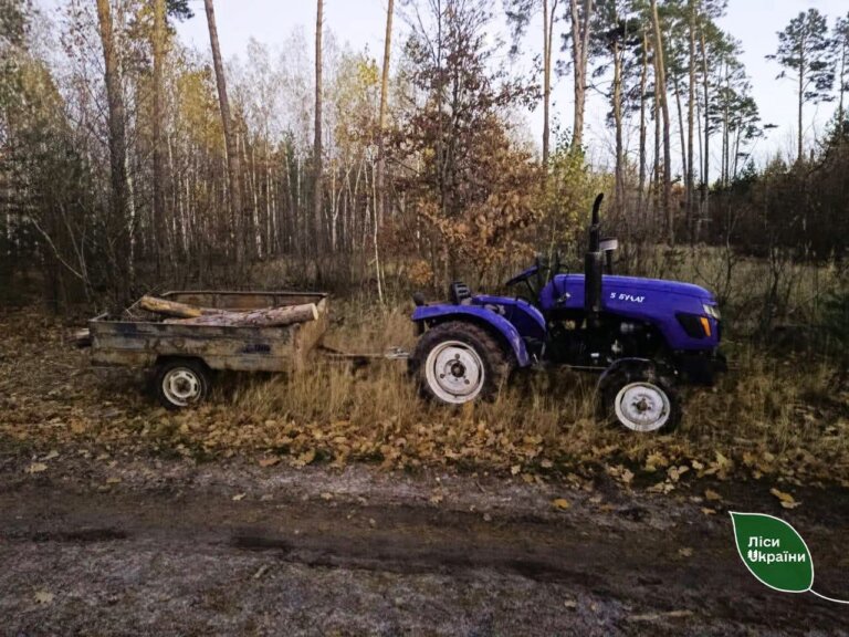 У Житомирському районі дерево вбило «чорного» лісоруба