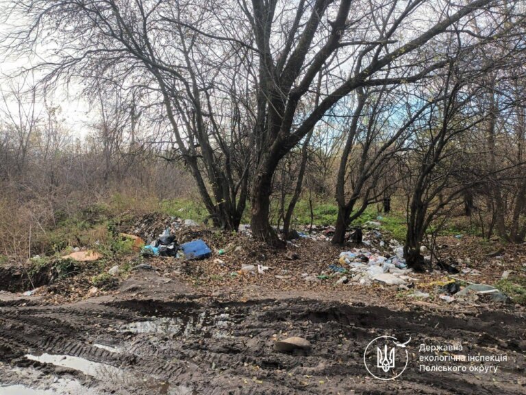 У Житомирі знову виявлено несанкціоновані сміттєзвалища вздовж дороги до полігону ТПВ