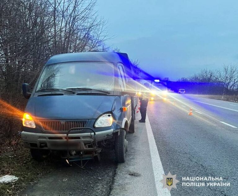 Поліцейські працюють на місці смертельної ДТП поблизу Житомира