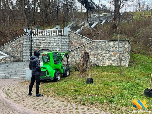 У парку Шодуара висаджують декоративні дерева