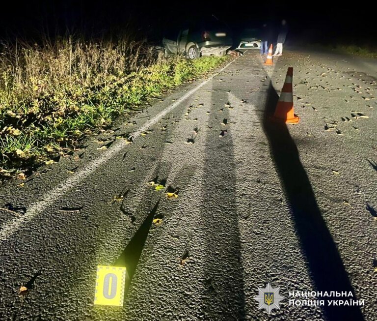Поліцейські встановлюють обставини ДТП на Звягельщині із загибеллю пасажирки та травмуванням водія