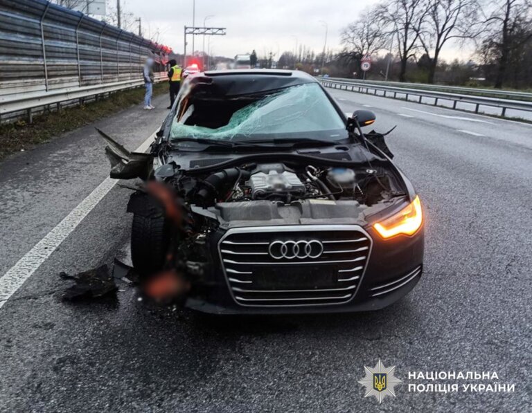У ДТП на Звягельщині загинула жінка: поліцейські встановлюють обставини