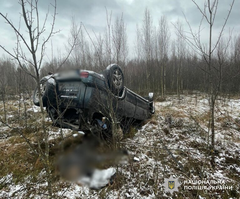 На Малинщині в ДТП загинули двоє чоловіків: поліцейські проводять розслідування
