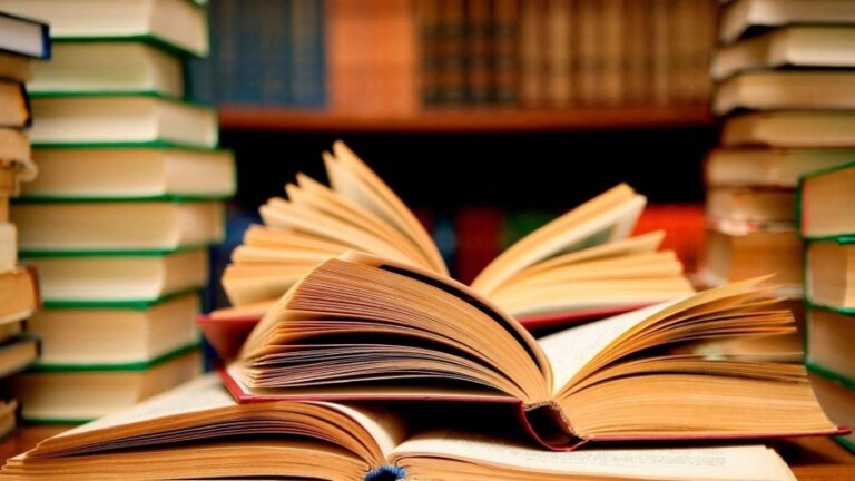 Слово, що веде до перемоги: школярі Житомира — серед кращих знавців української мови
