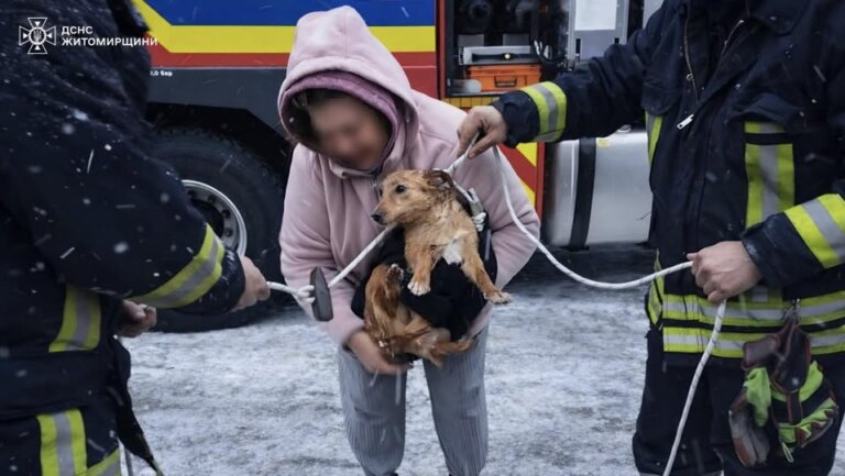 Хвіст радості після 12 метрів страху. ДСНС дістала собаку з глибокої криниці