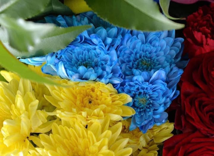 Життя, віддане за Україну. Родині Олександра Шевчука вручено державну нагороду
