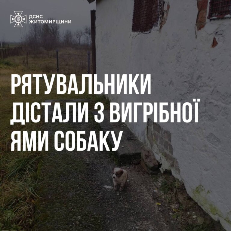 Рятувальники дістали з вигрібної ями собаку