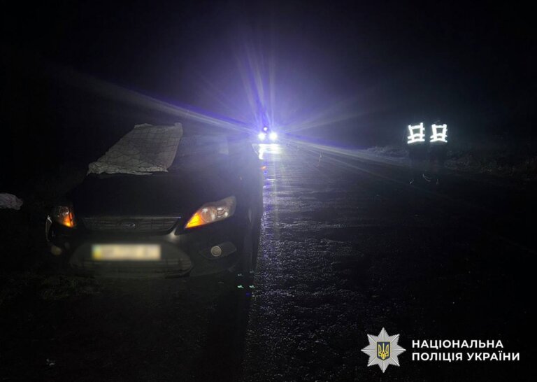 У ДТП у Житомирському районі смертельно травмовано пішохода: поліцейські розпочали розслідування