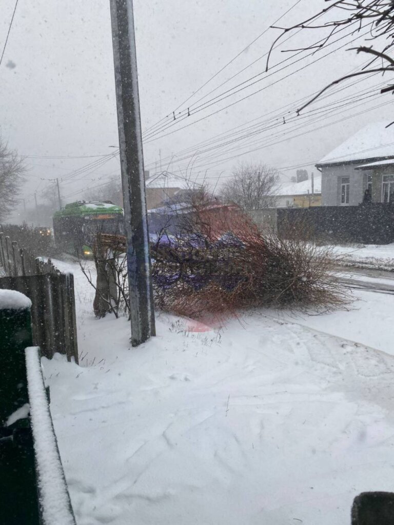 Повалило опору та дерево на вул. Сковороди