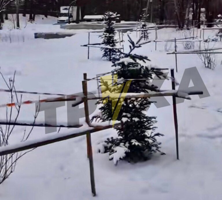 Вандали зіпсували нову ялинку у Гідропарку – ЗМІ
